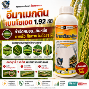อีมาเมกติน เบนโซเอต 1.92% EC (มังกรฟ้าคู่เงิน) ขนาด 1 ลิตร สารป้องกันกำจัดหนอนและแมลงศัตรูพืช