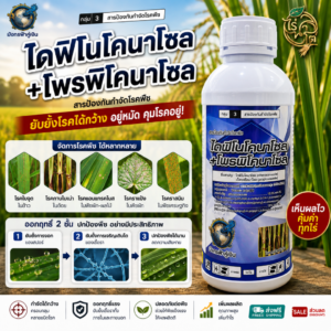 ไดฟิโนโคนาโซล +โพรพิโคนาโซล (มังกรฟ้าคู่เงิน) ขนาด 1 ลิตร สารป้องกันและกำจัดโรคพืช โรคกาบใบแห้งในข้าว