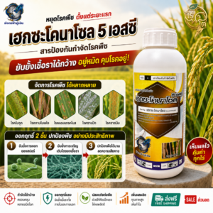 เฮกซะโคนาโซล 5 เอสซี (มังกรฟ้าคู่เงิน) ขนาด 1 ลิตร ป้องกันแะกำจัดโรคพืช โรงใบกาบแห้งในข้าว
