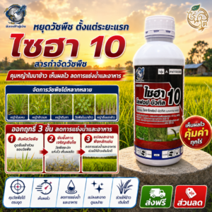 ไซฮาโลฟอป-บิวทิล 10% EC (มังกรฟ้าคู่เงิน) ขนาด 1 ลิตร สารกำจัดวัชพืชใบแคบในนาข้าว หญ้าดอกขาว หญ้าข้าวนก
