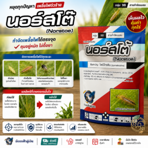 นอร์สโต้ ไพมีโทรซีน 1 กิโลกรัม (มังกรฟ้าคู่เงิน) ป้องกันกำจัดเพลี้ยไฟในข้าวโพดหวาน สารป้องกันกำจัดแมลง