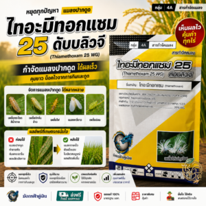 ไทอะมีทอกแซม 25WG (มังกรฟ้าคู่เงิน) 1กิโลกรัม ยากำจัดแมลง สำหรับข้าว ป้องกันศัตรูพืชต่าง